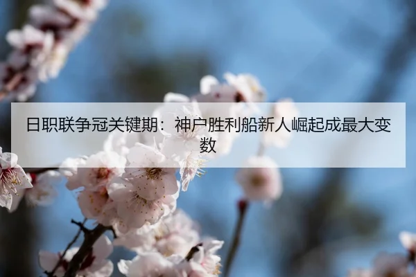 ri-zhi-lian-zheng-guan-guan-jian-qi-shen-hu-sheng-li-chuan-xin-ren-jue-qi-cheng-zui-da-bian-shu-3-221.jpg